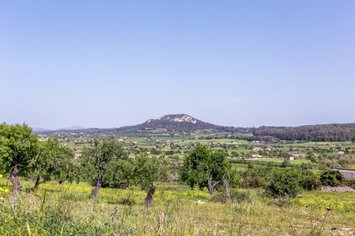 Fantastic building plot in a quiet location with open sweeping views and a stone-built house needing restoration in Sineu