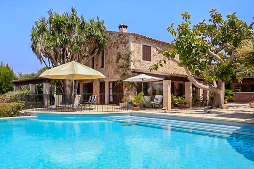 Finca i Manacor-North