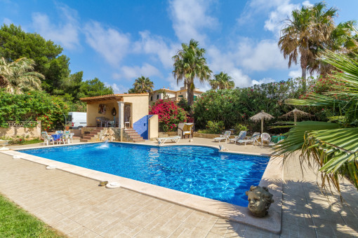 Sunny pool area and pool terrace