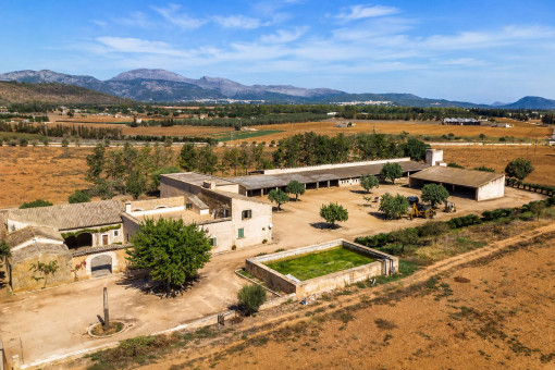 Finca i Inca