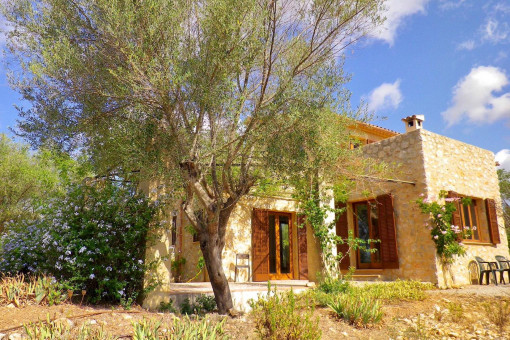 Finca i Manacor-North