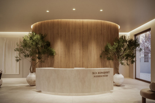 Reception Entrance Area of Property