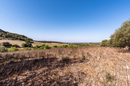 Amazing plot with building license