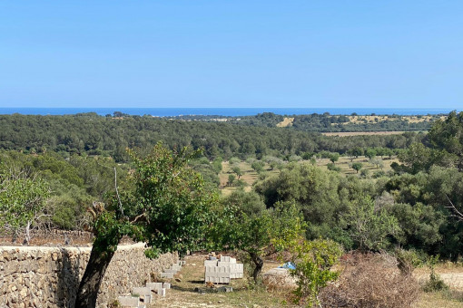 Tomt i Cala Murada