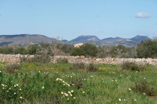 Tomt i Cala Llombards