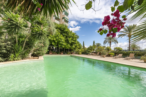 Pool area