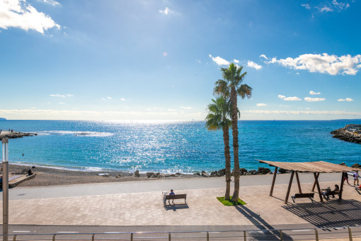 Lägenhet i Portixol