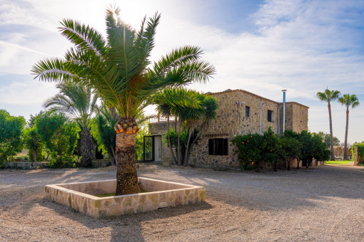 Finca i Algaida