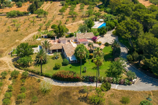 Finca i Capdepera