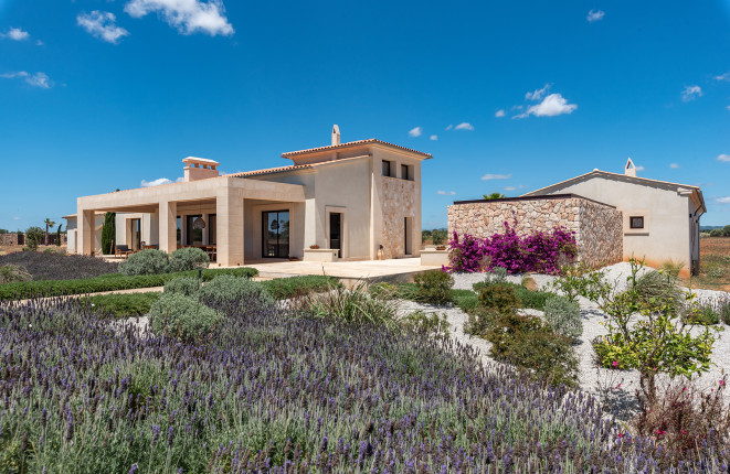 Rural luxury finca with pool and olive...