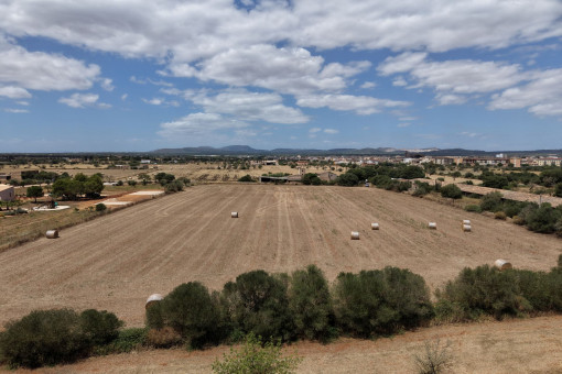 Tomt i Campos