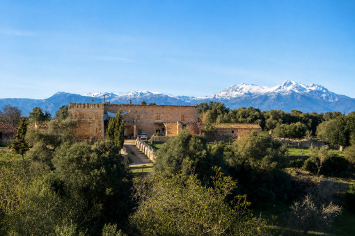 Finca i Lloret de Vistalegre